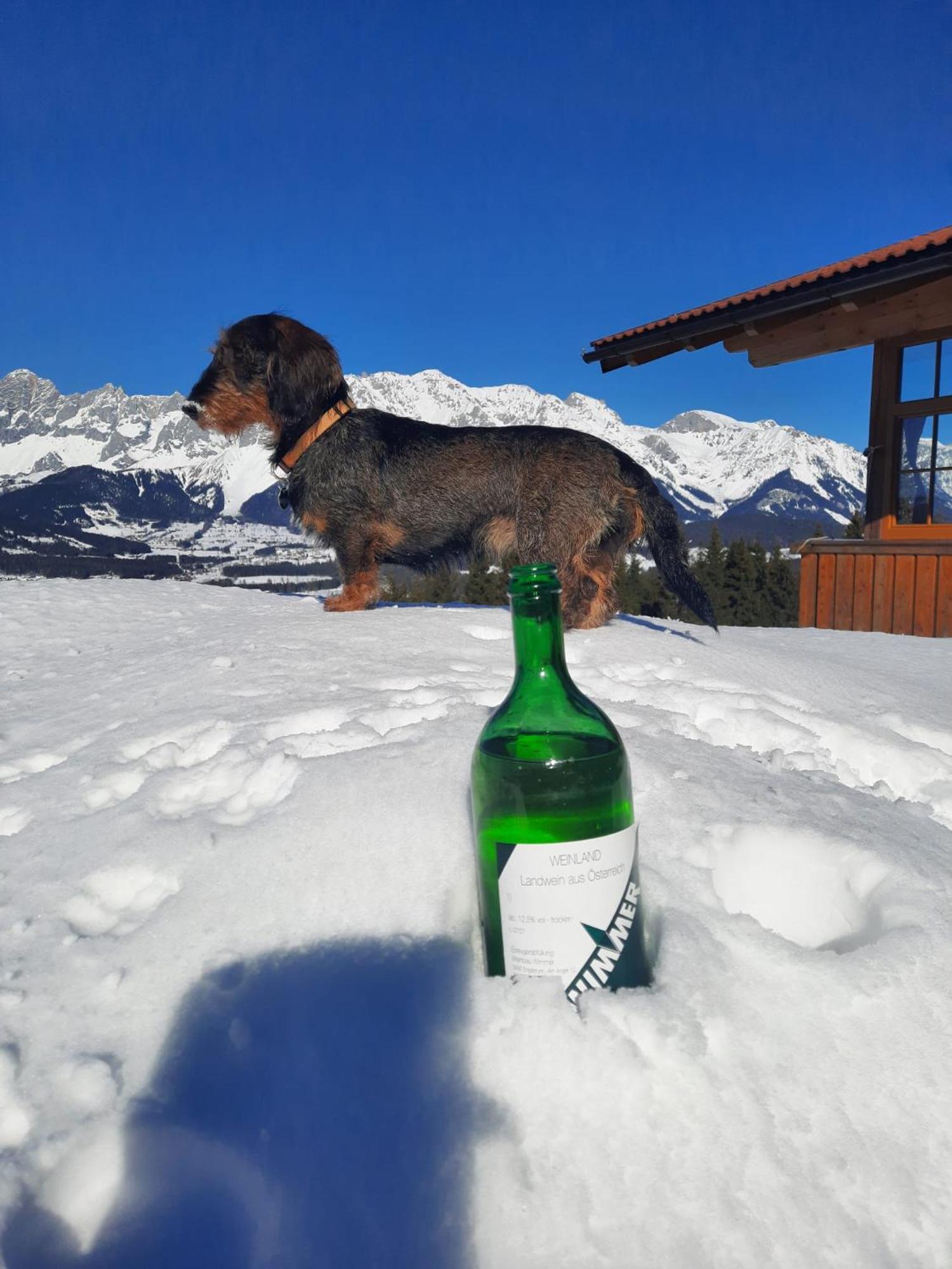 Haus Rigl Apartman Schladming Kültér fotó